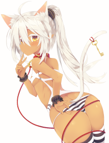 星辰云：香港/美国/韩国/菲律宾/新加坡cn2云服务器低至20元/月起,199元/年